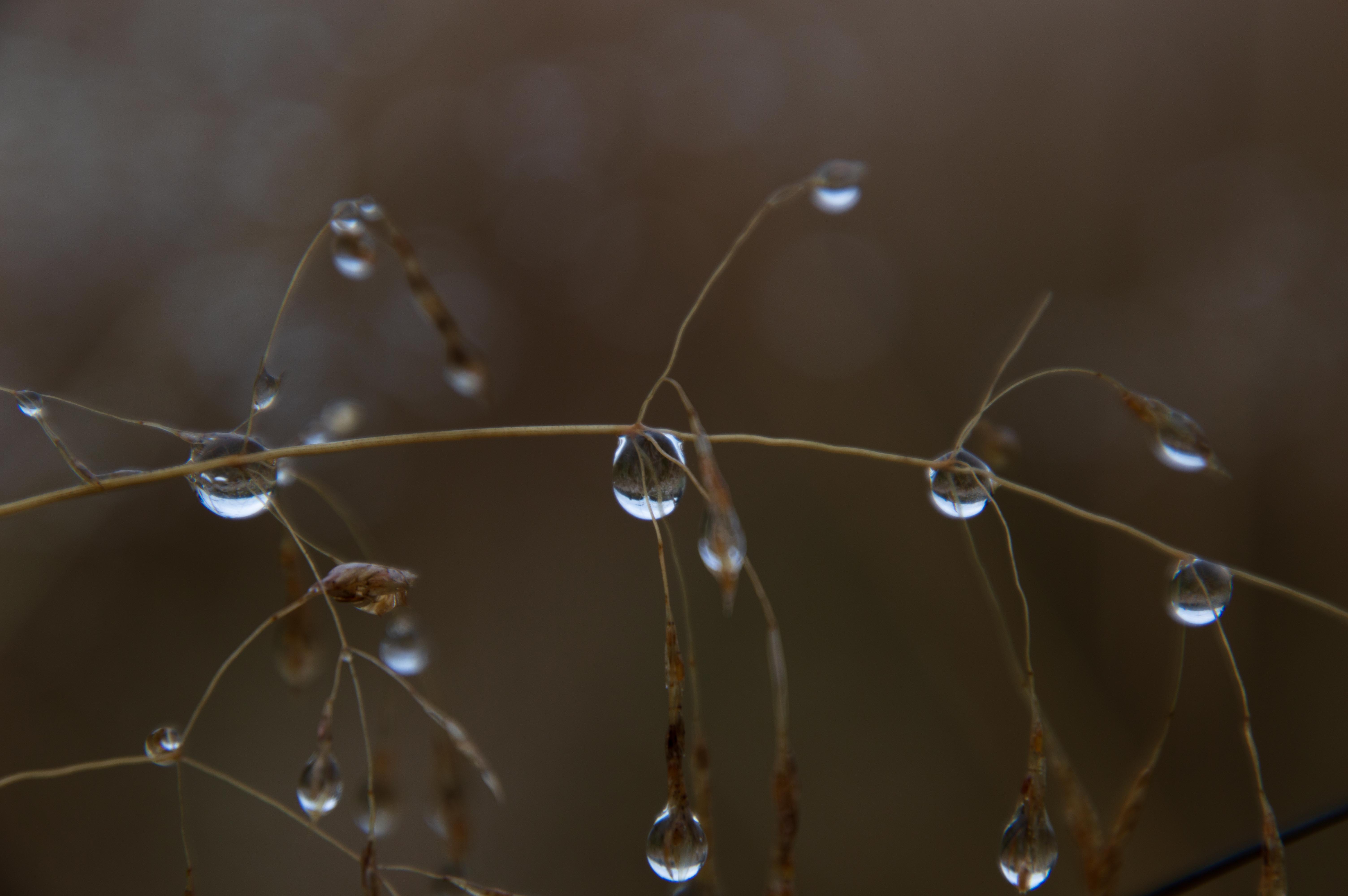 Water droplets